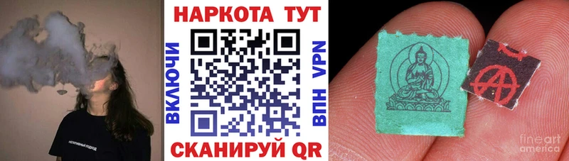 Как найти закладки Кириши Псилоцибиновые грибы Cocaine A PVP БУТИРАТ Каннабис Меф мяу мяу