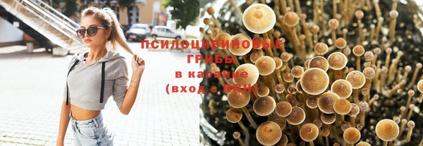 стаф Армянск